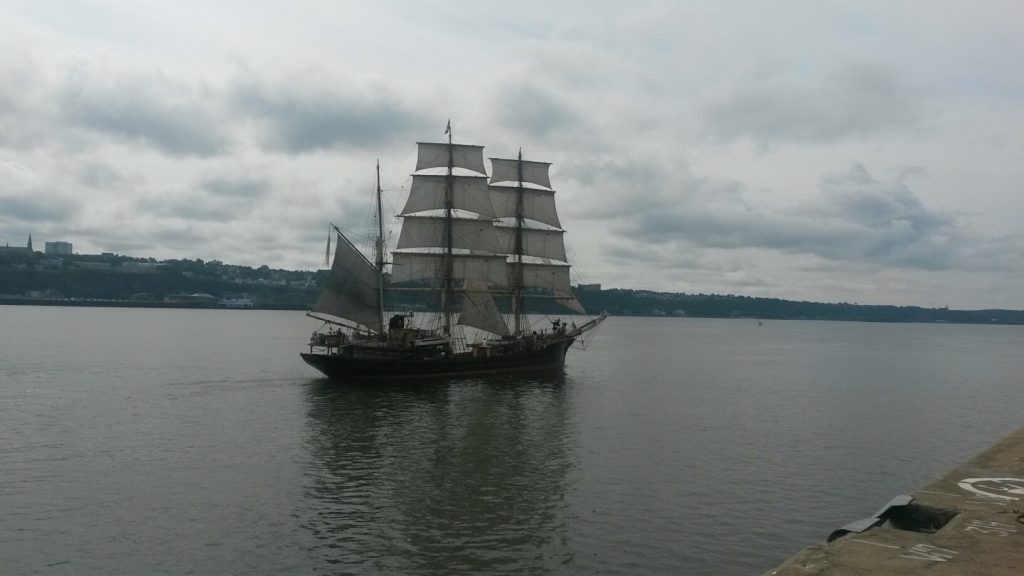 20160728_095245_resized